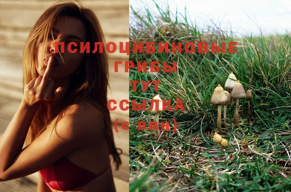 кокс Балабаново