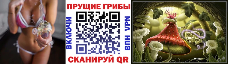 Галлюциногенные грибы ЛСД  Нижнеудинск 