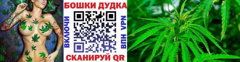 МАРИХУАНА планчик  купить наркотик  Нижнеудинск 